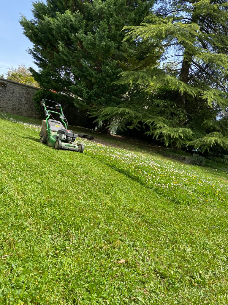 Entretien de jardin