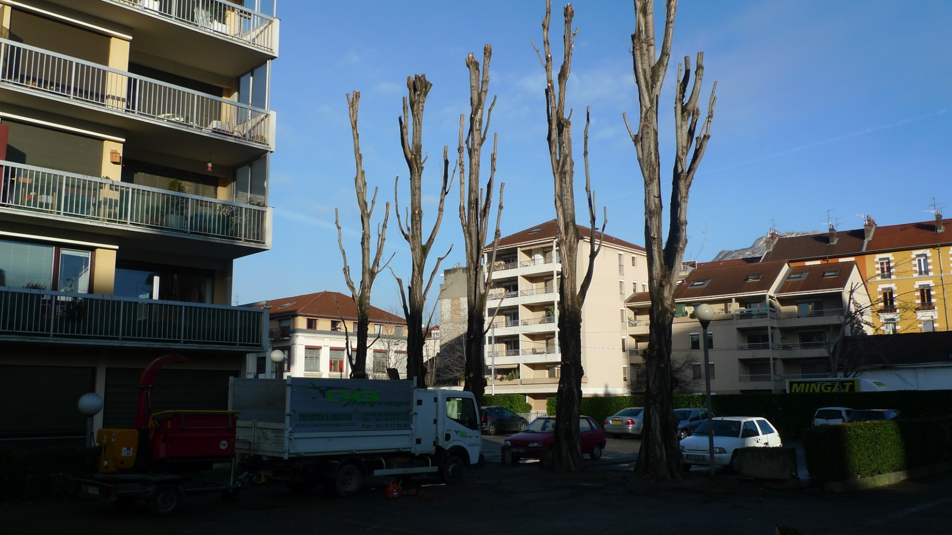 Élagage Grenoble, Gières, Saint-Martin-d'Hères...