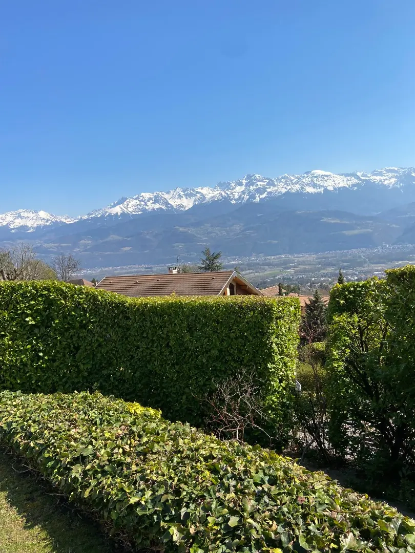 bg-paysage-5